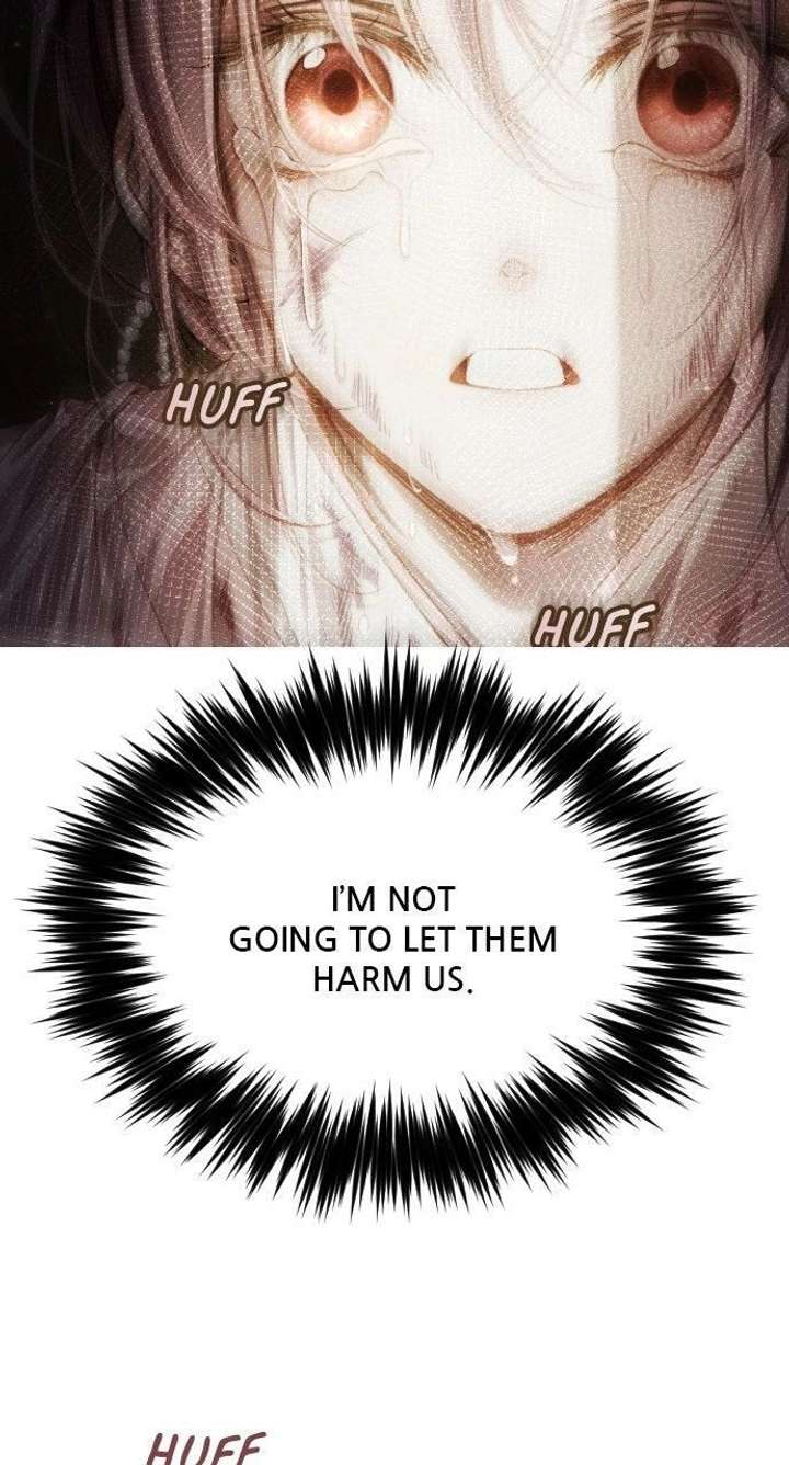 ch 23 81