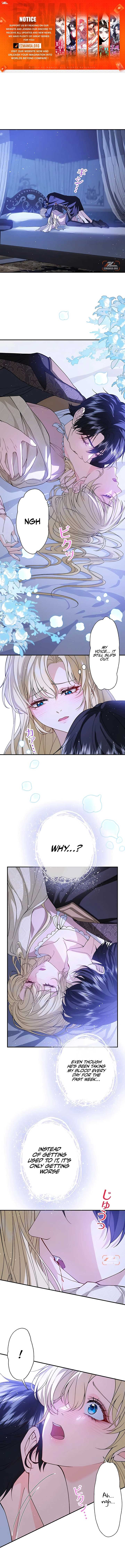 ch 6 1