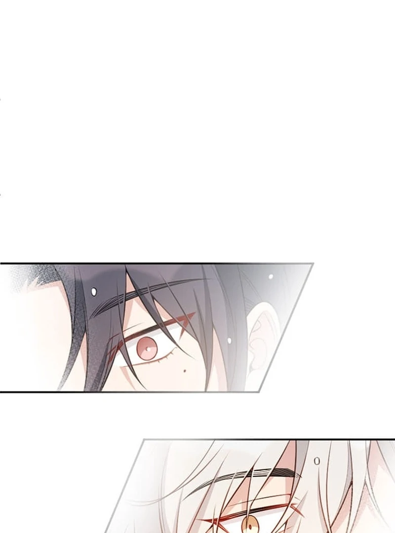 ch 5 8