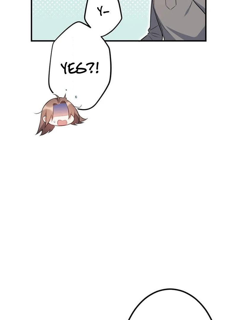 ch 6 95