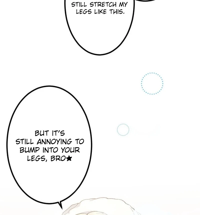 ch 8 11