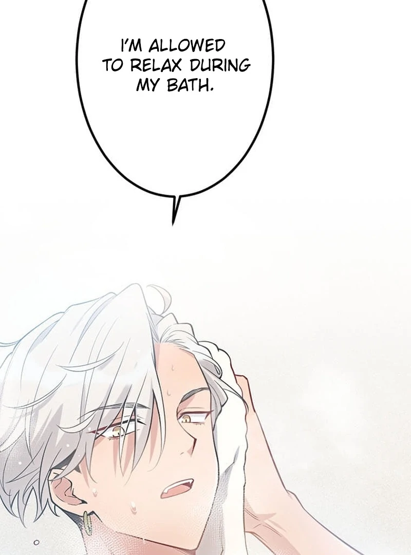 ch 8 8
