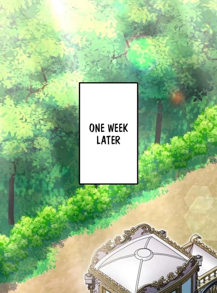 I May Be a Failed Saint, but the Marquess Who Hates Saints Can’t Seem to Stop Doting on Me Chapter 28 373 006