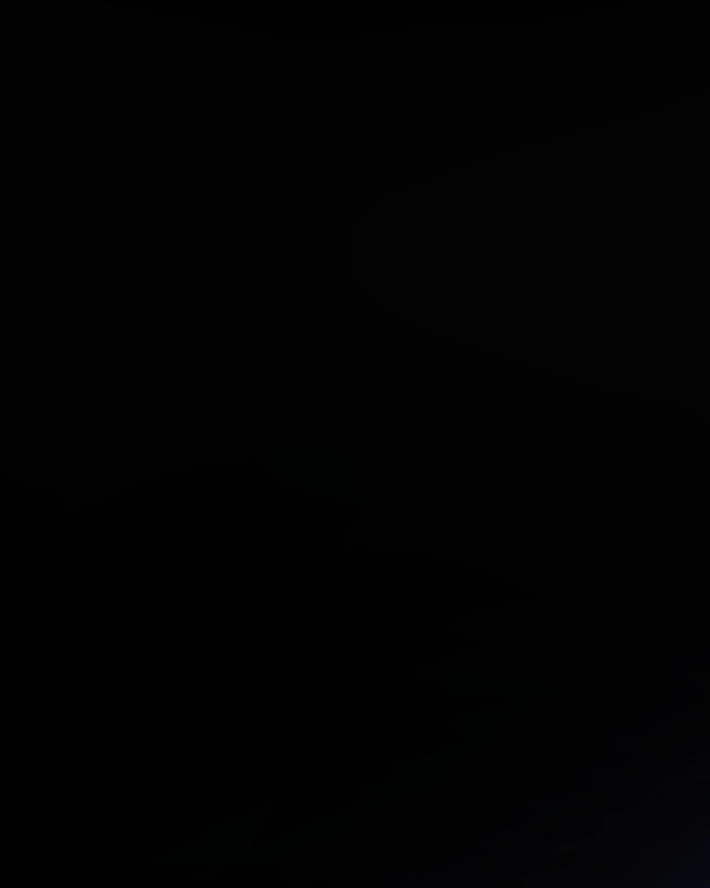 37e404d46545