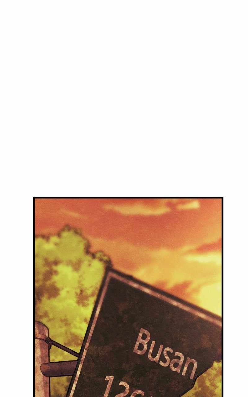 113