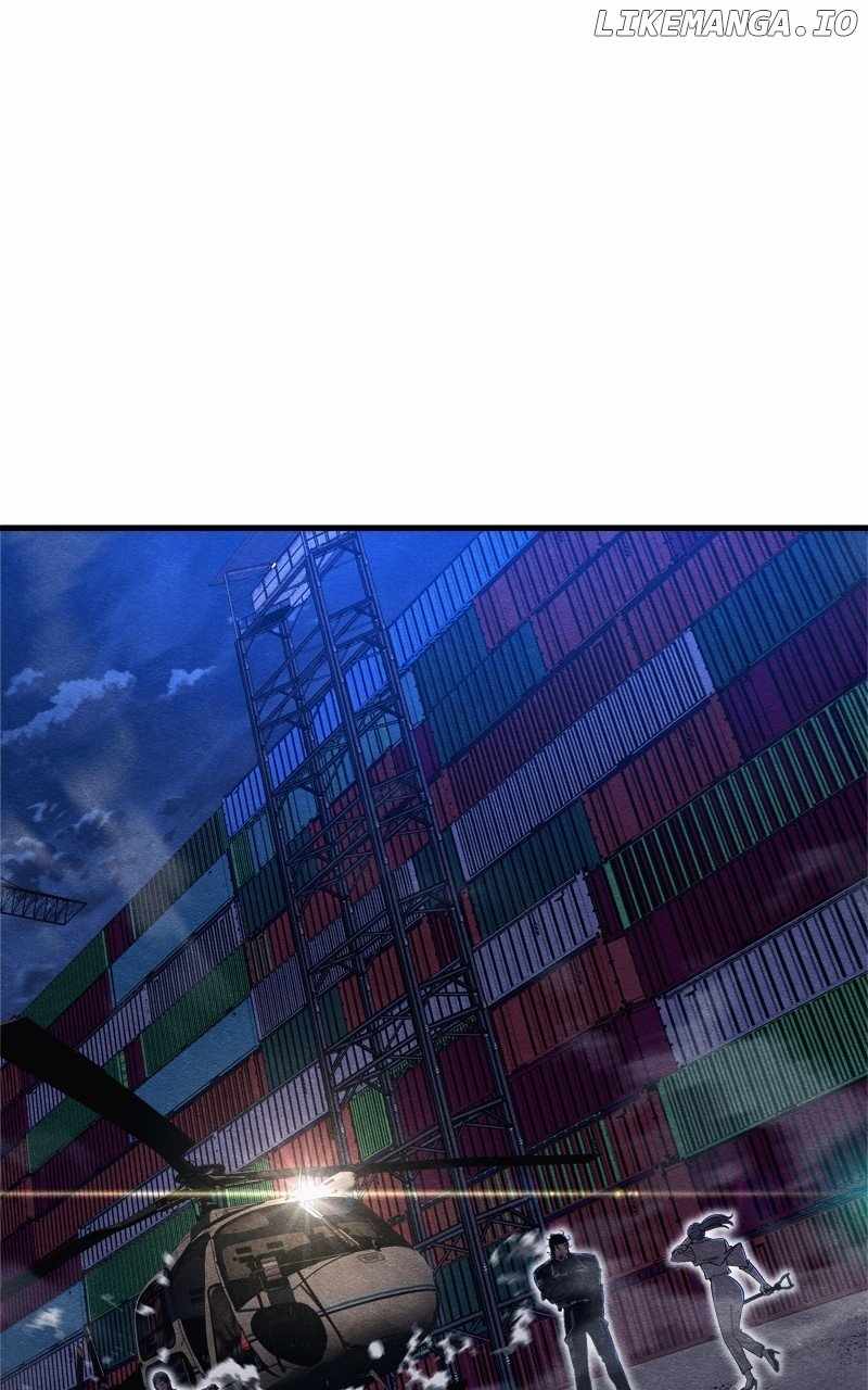 81