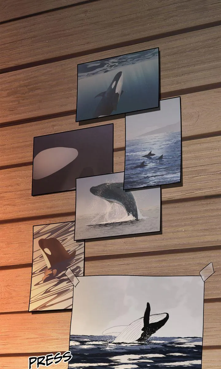 Incident Named Tsunami: Killer Whale Hunting Method Chapter 29 319 04fbfffd744a
