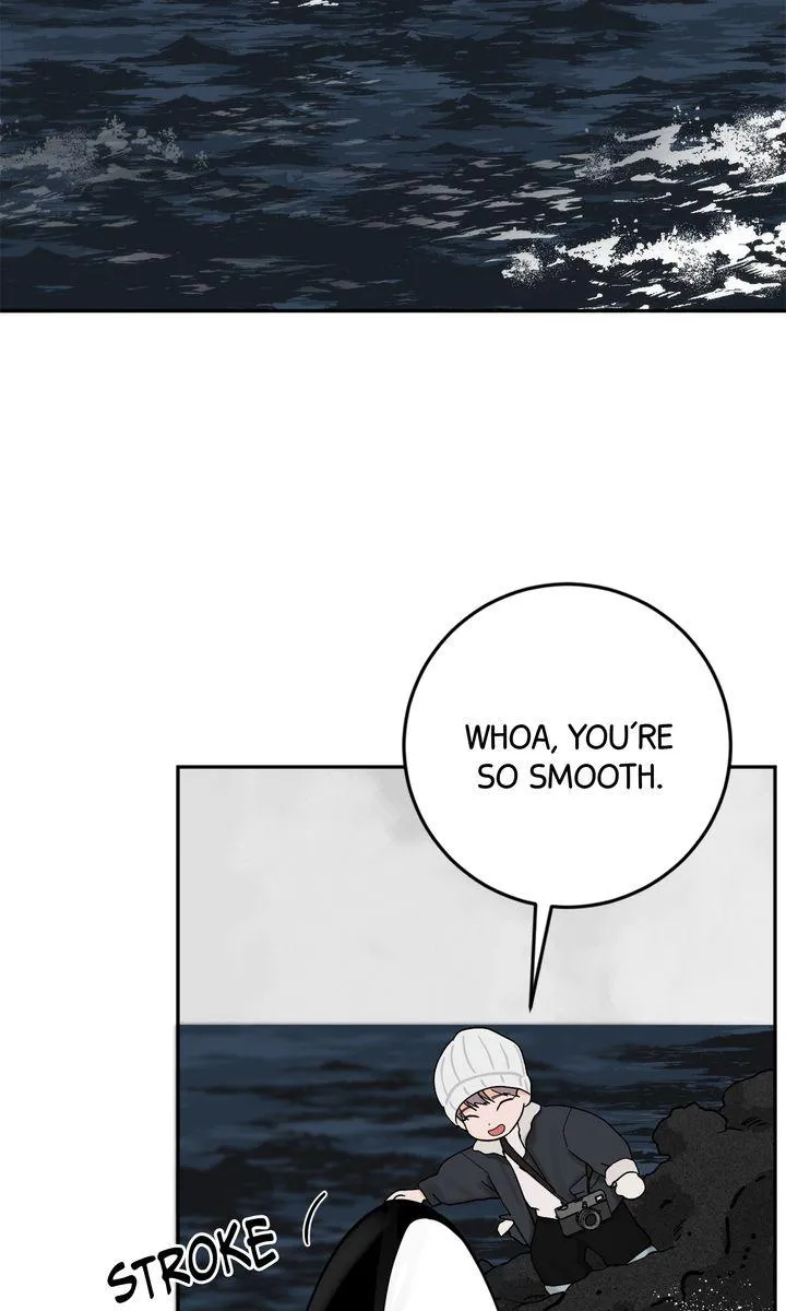 Incident Named Tsunami: Killer Whale Hunting Method Chapter 29 341 54a460f20e30
