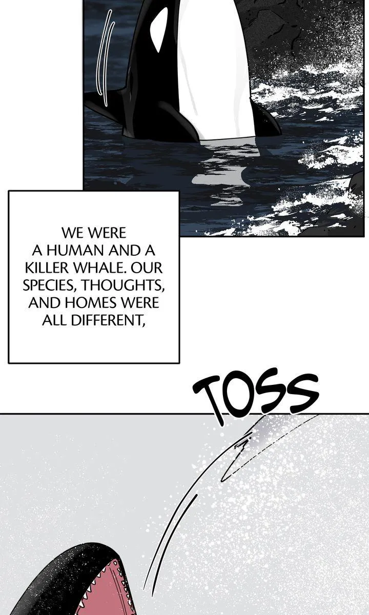 Incident Named Tsunami: Killer Whale Hunting Method Chapter 29 342 c19b8840246b