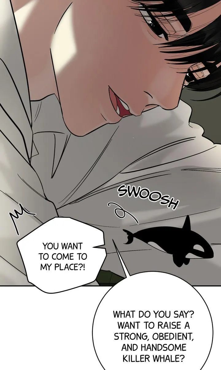 Incident Named Tsunami: Killer Whale Hunting Method Chapter 35 404 2c0737cf72ce