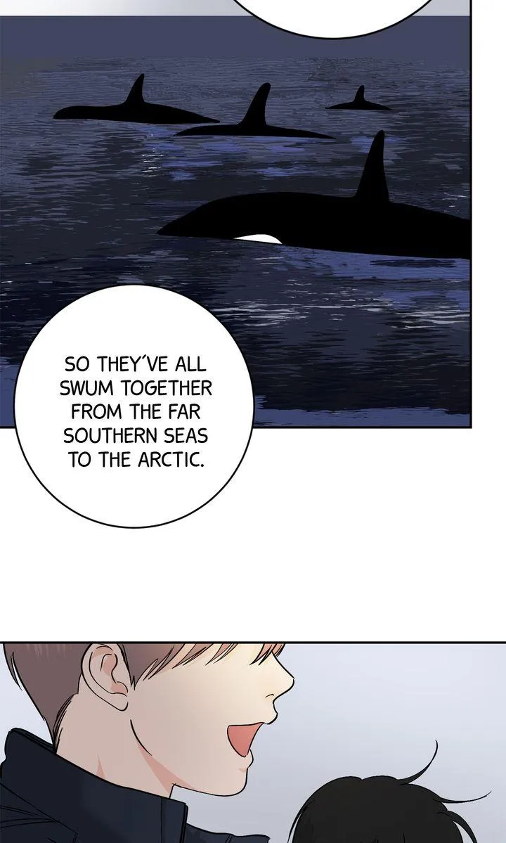 Incident Named Tsunami: Killer Whale Hunting Method Chapter 40 341 cfa627a75005