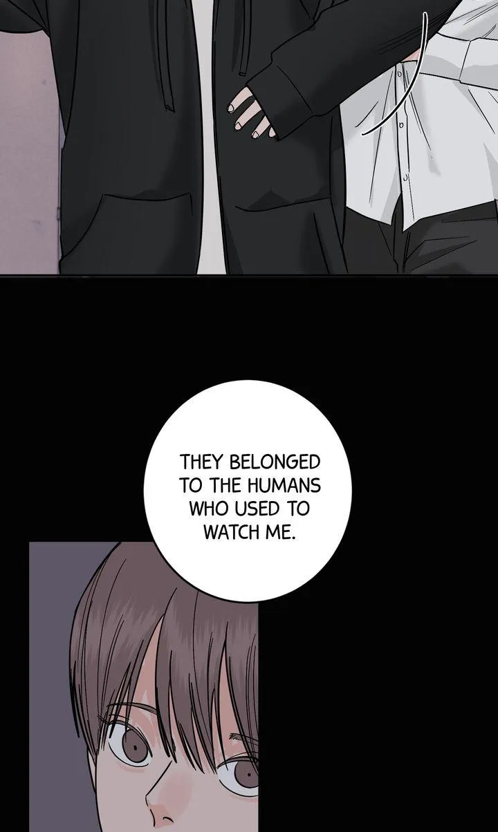 Incident Named Tsunami: Killer Whale Hunting Method Chapter 43 373 ec21af333cb7