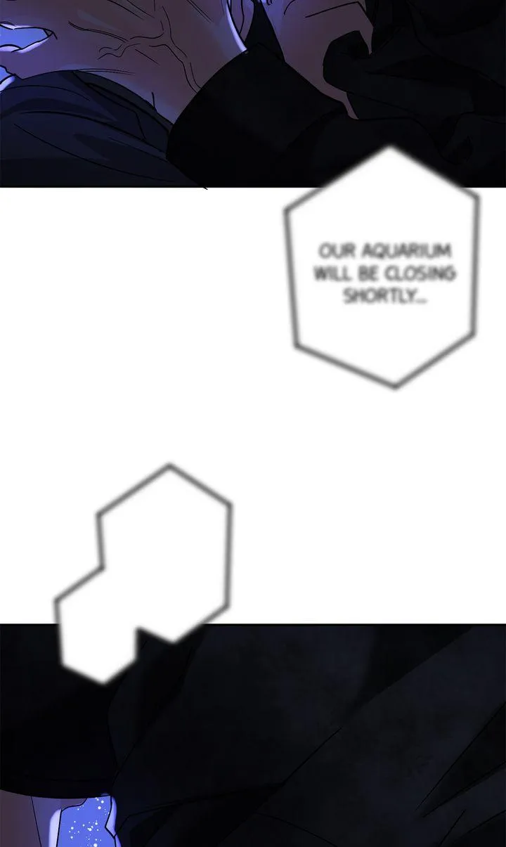 4006c0c2b6aa