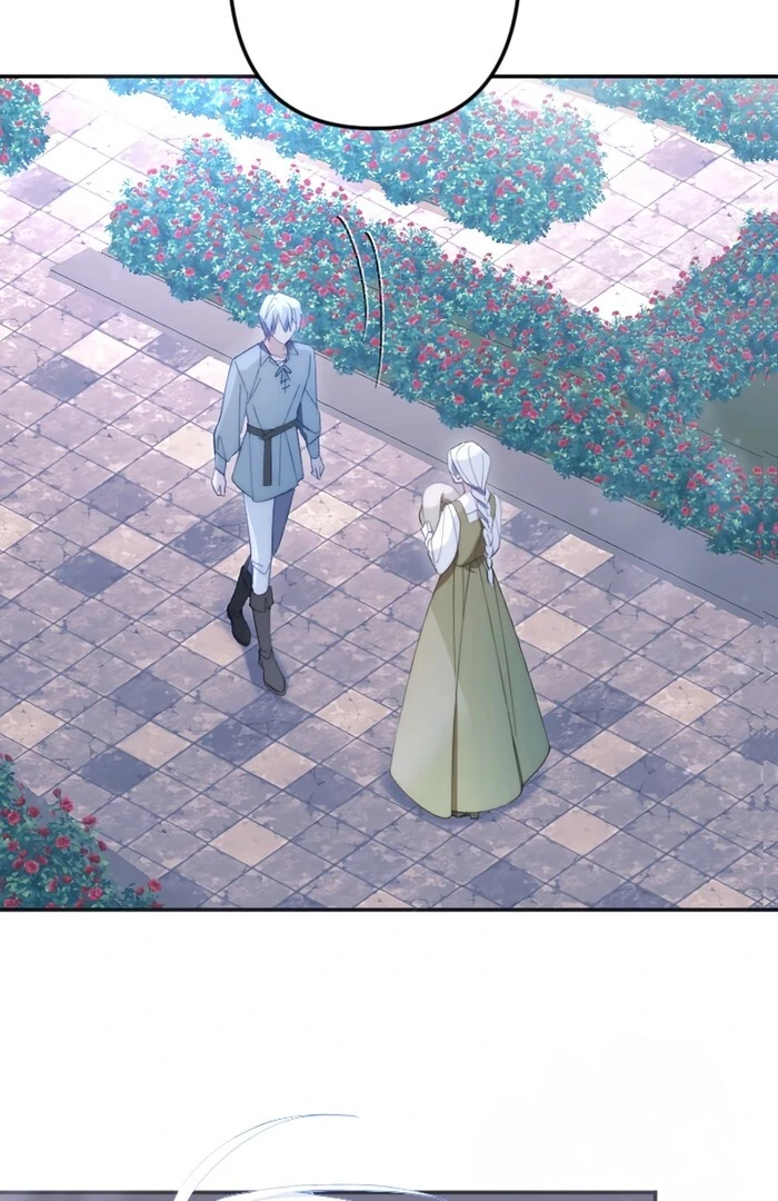 ch 17 17