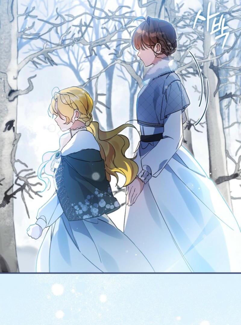 ch 28 29