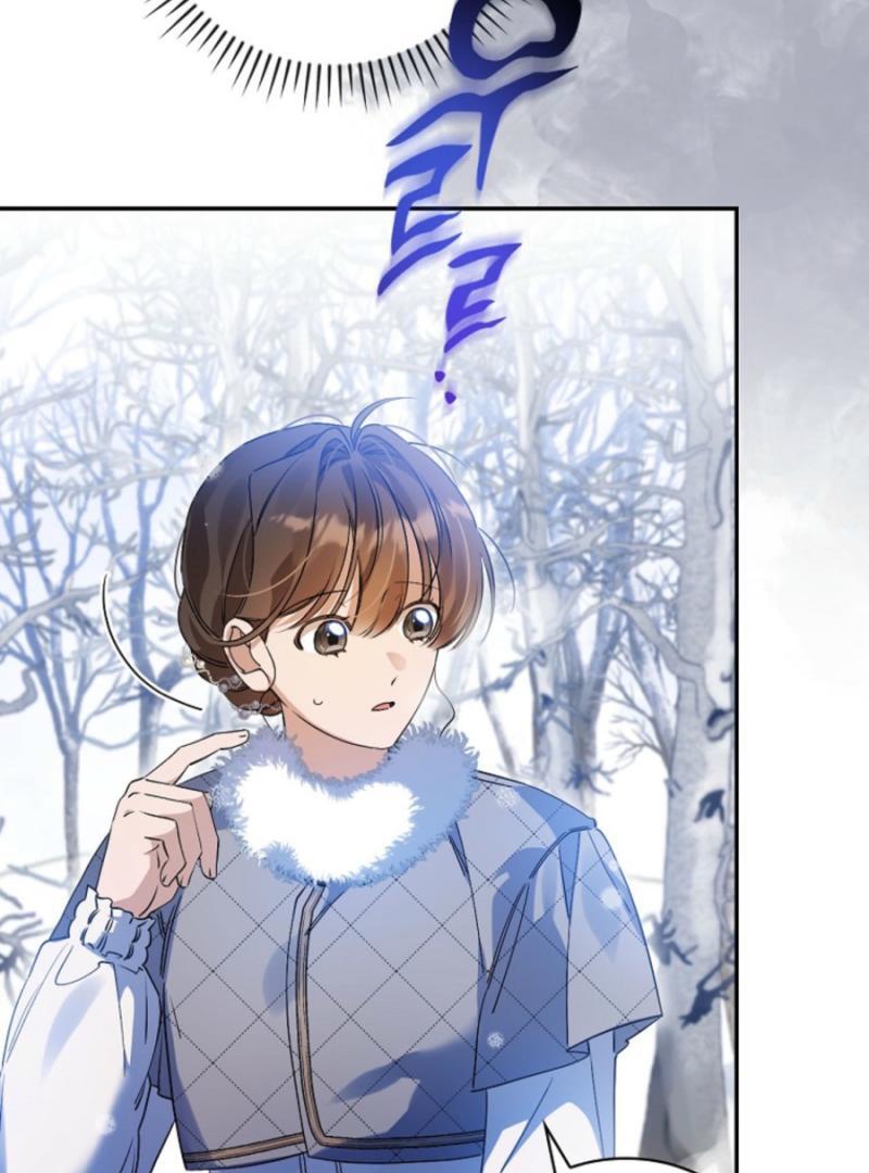ch 28 40