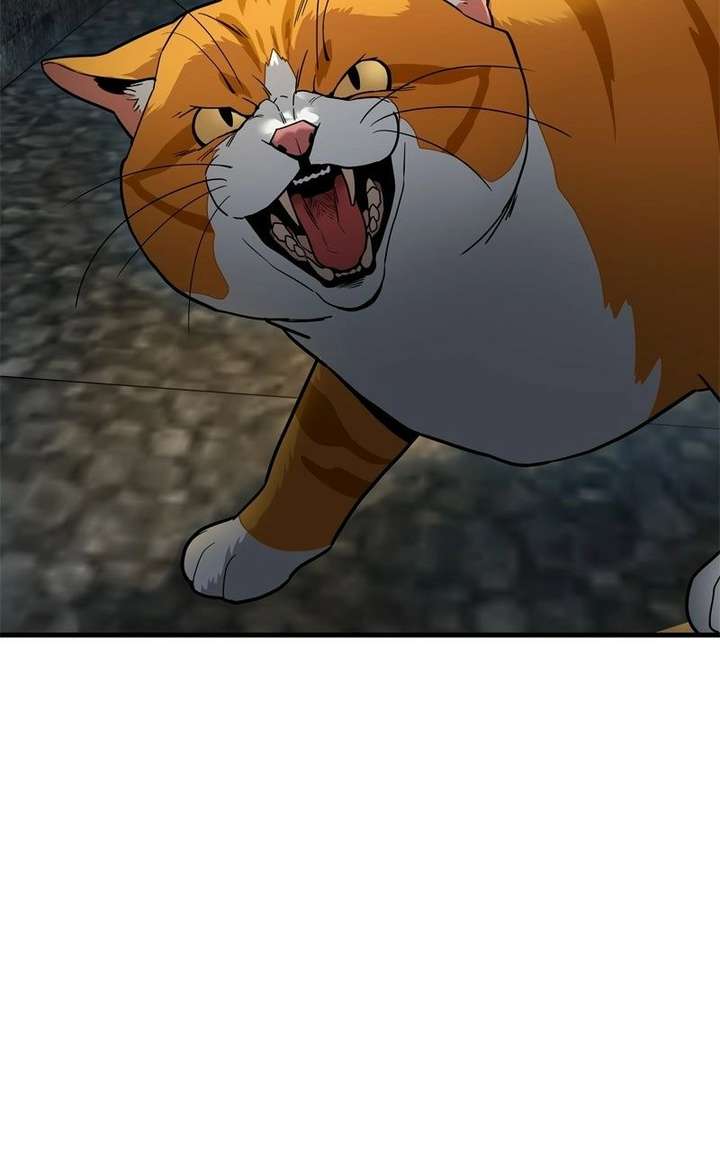 ch 17 96