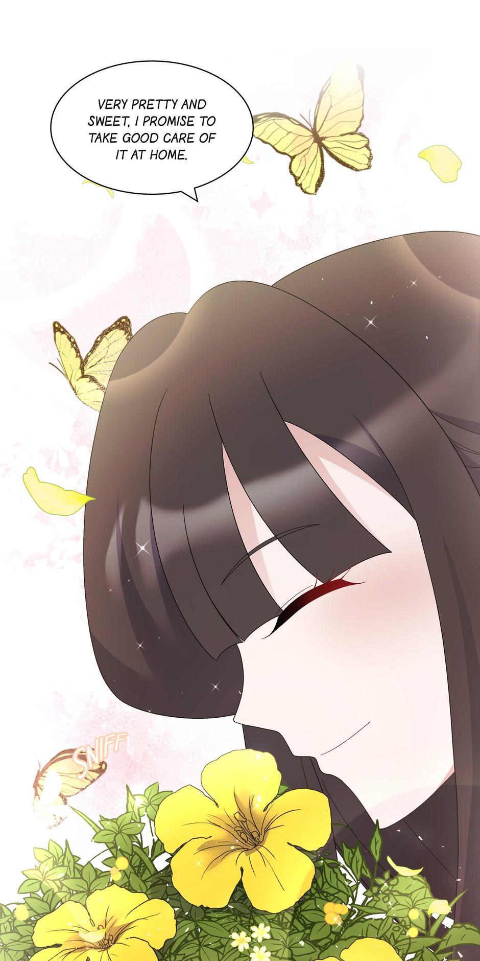 ch 50 40