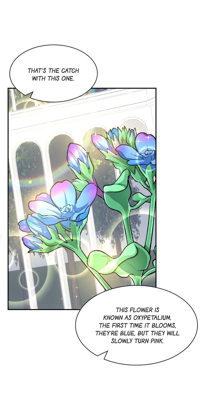 ch 50 56