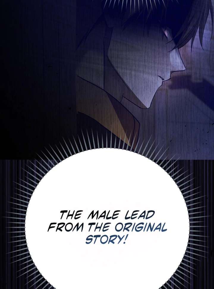 My Contract Husband Resembles the Male Protagonist Chapter 37 731 169