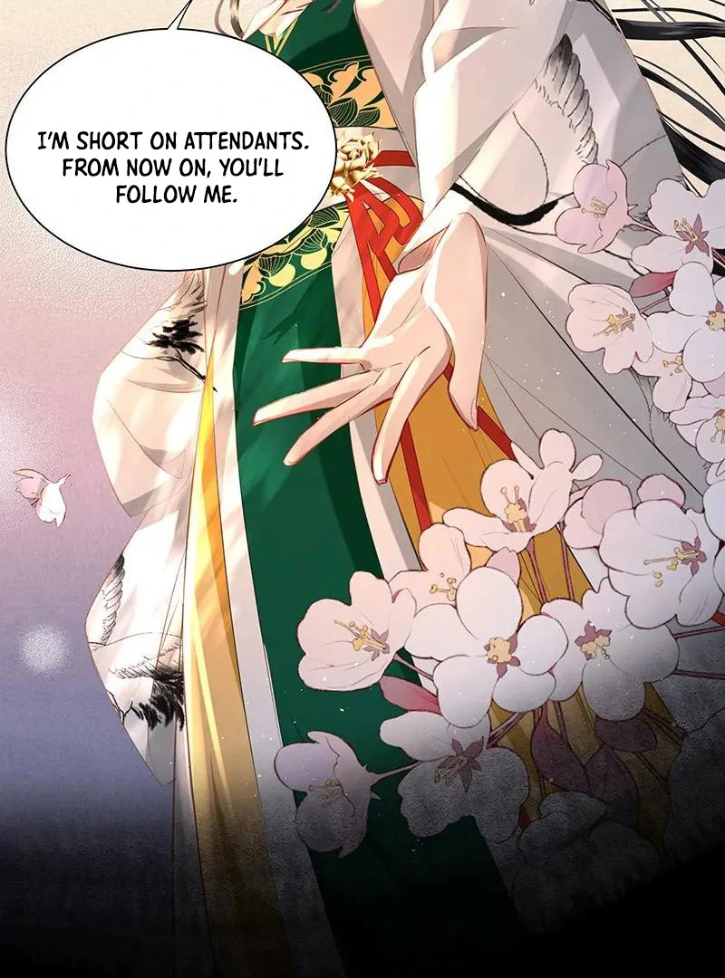 ch 6 11