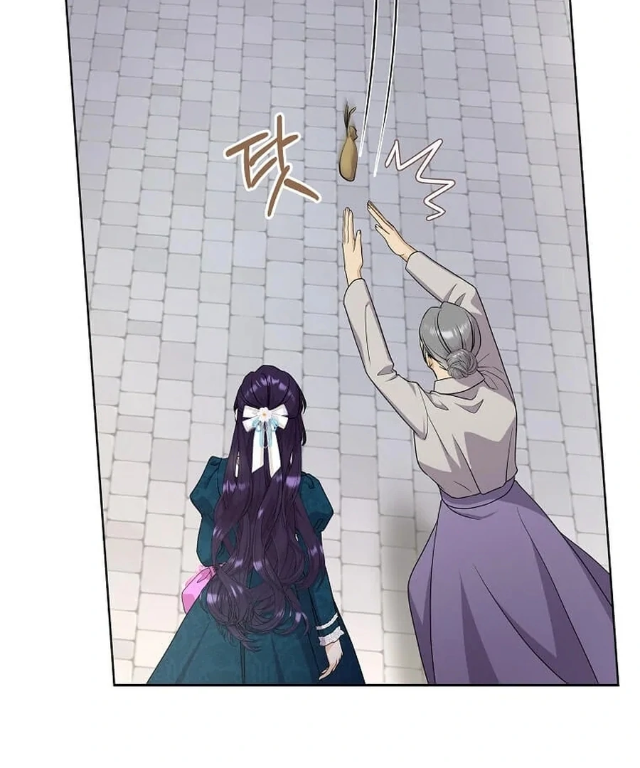ch 25 52