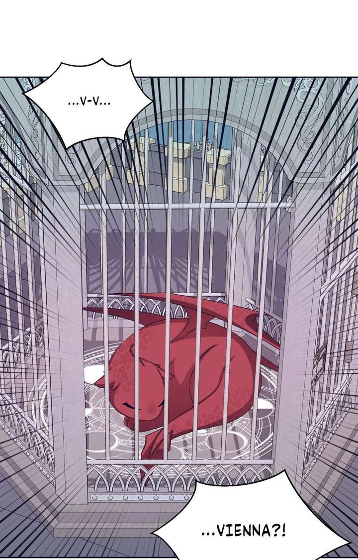 ch 48 39
