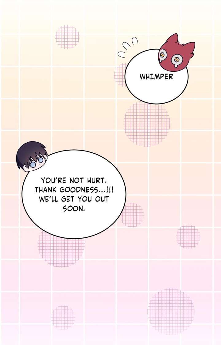 ch 48 41
