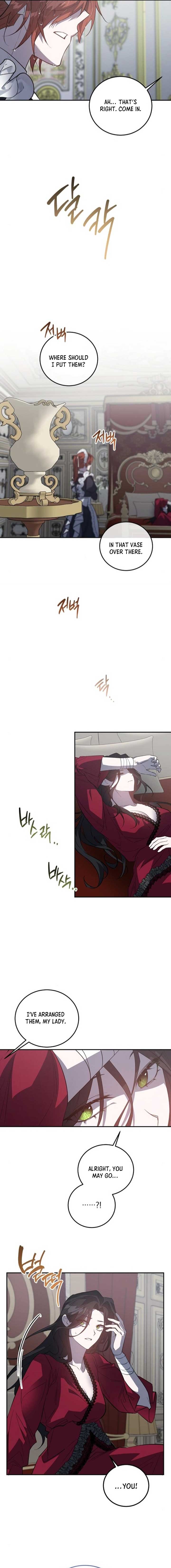 ch 19 5