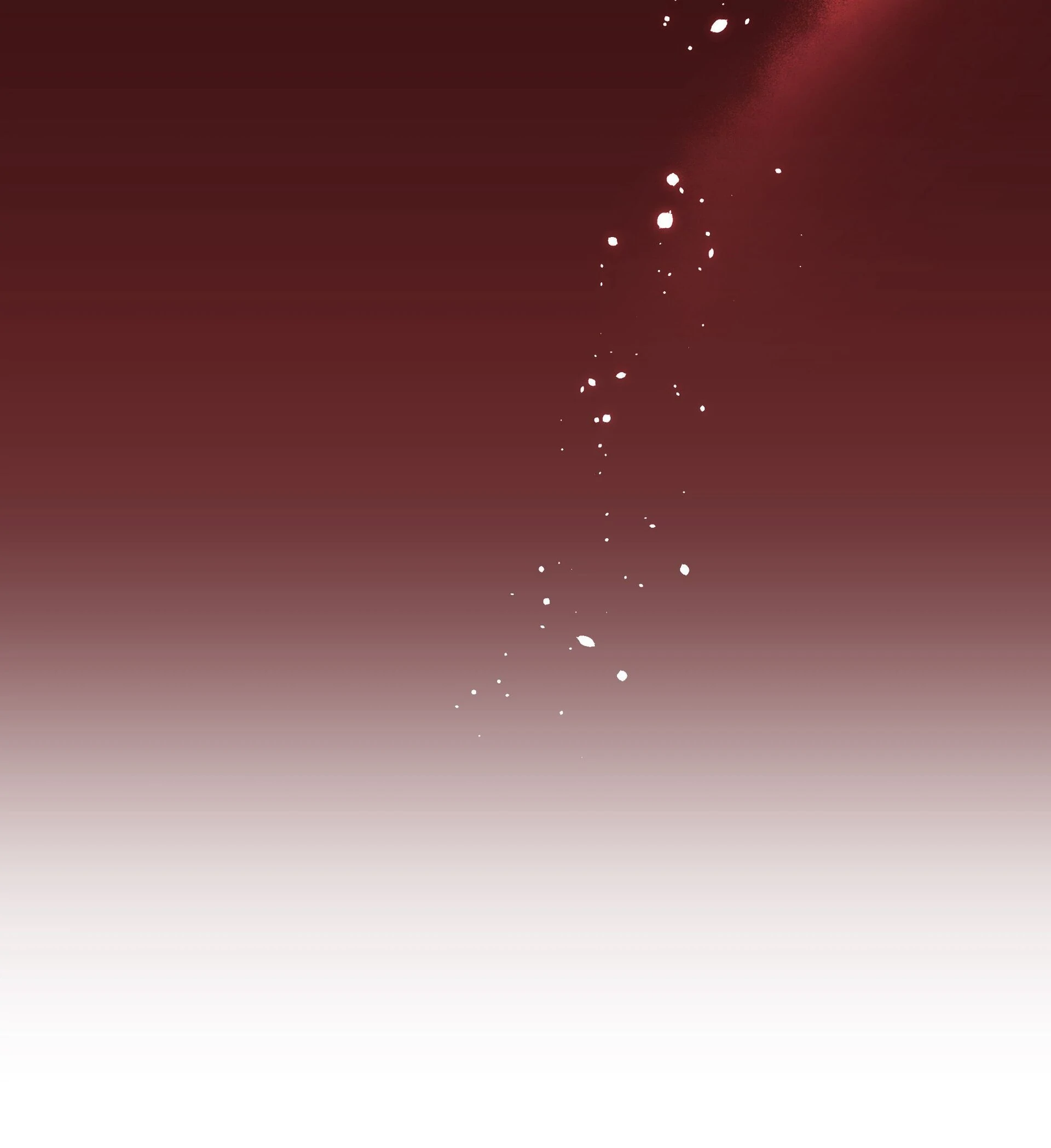 ch 24 37