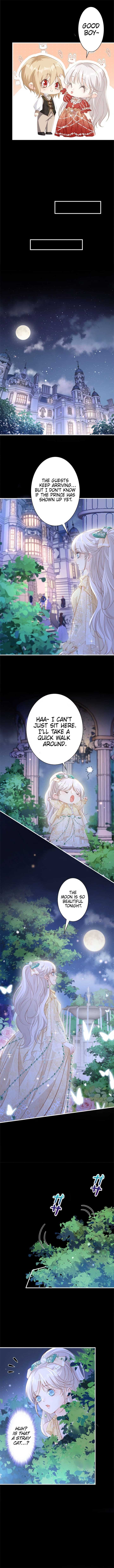 ch 4 6
