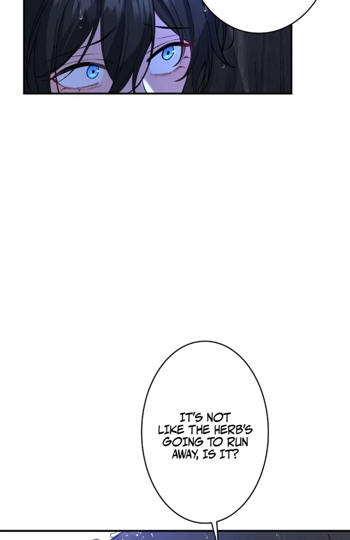 ch 11 17