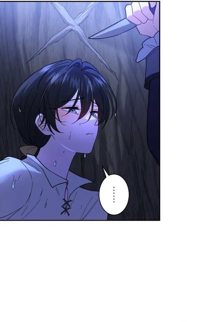 ch 11 20