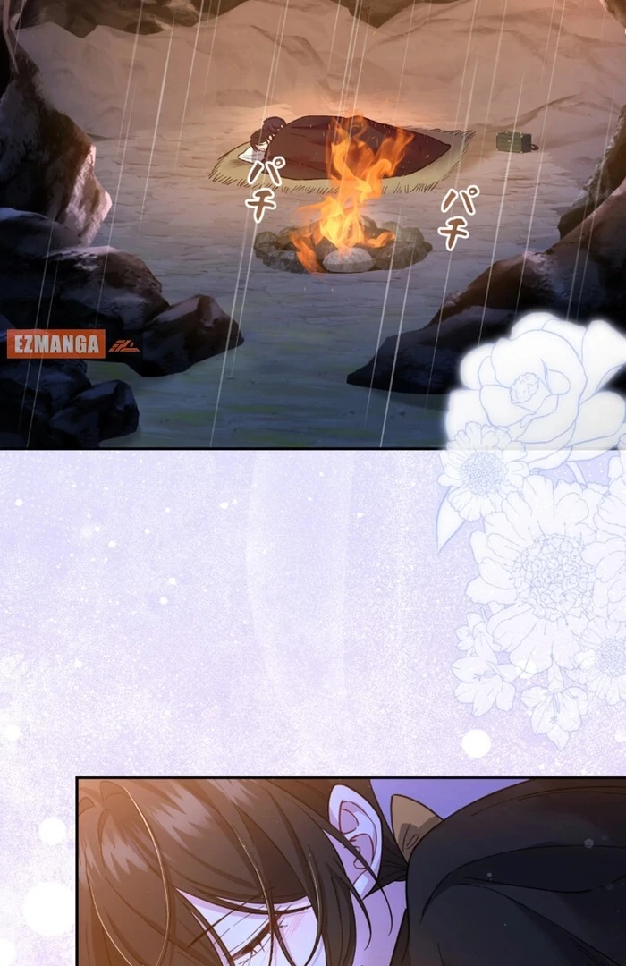 ch 11 24