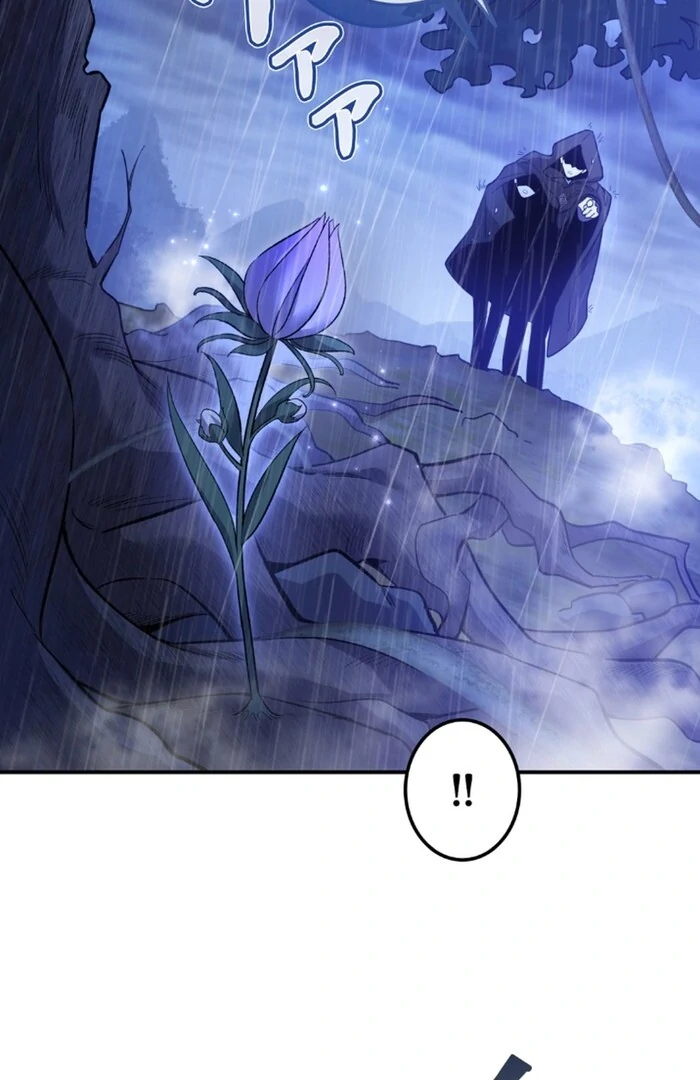 ch 11 4