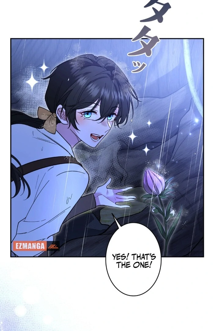 ch 11 5