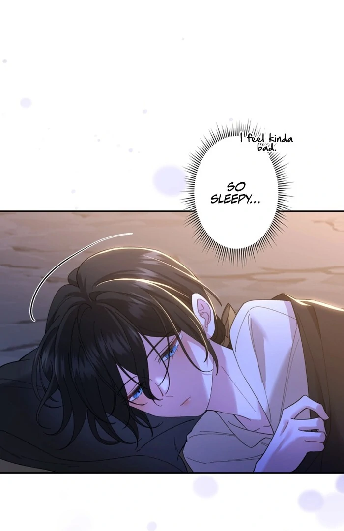 ch 11 52