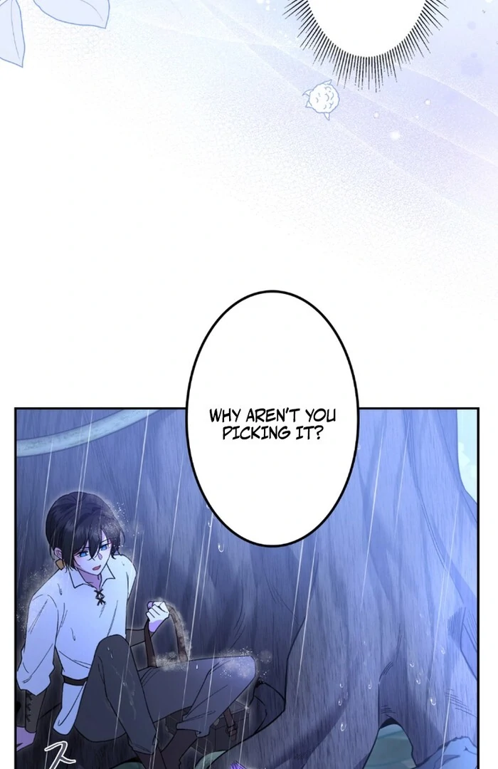 ch 11 7