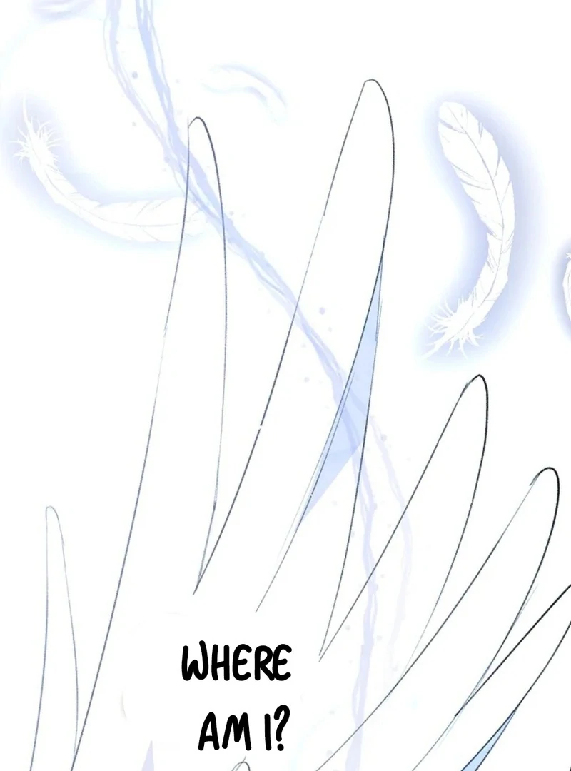 Steal from the Devil’s Pocket Chapter 11 569 ch 11 7