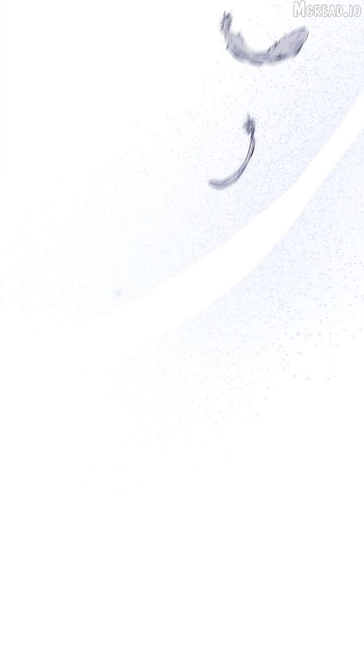 ch 41 93