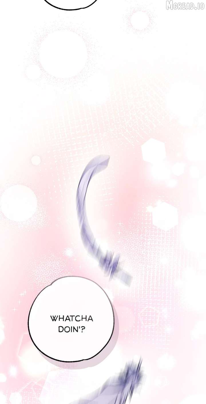 ch 41 95