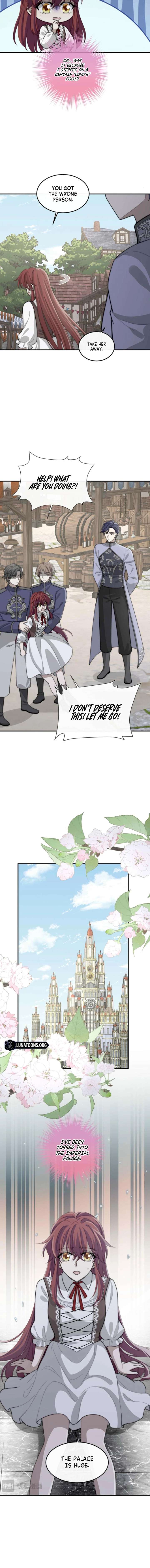 ch 41 3