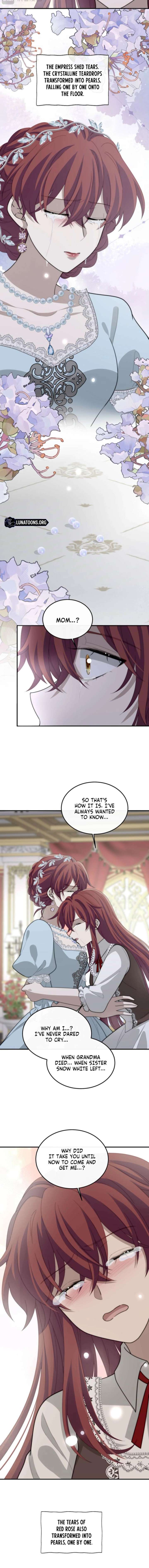 ch 41 6