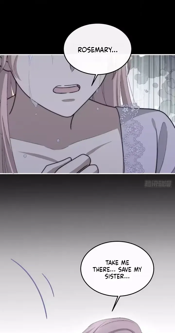 24f0e0694b5c