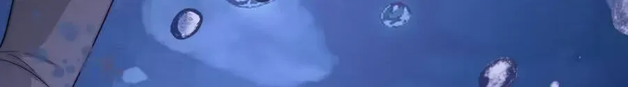 2fa92c34d556