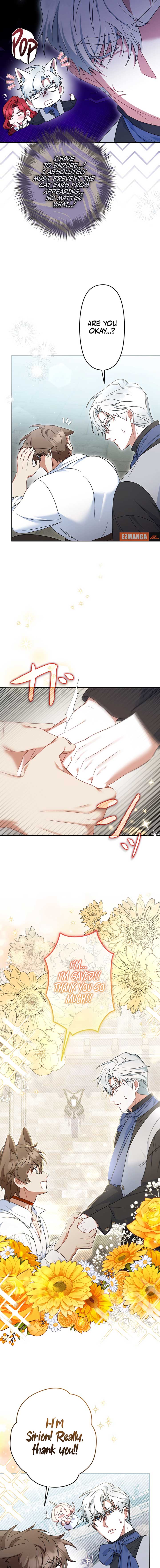 ch 11 95