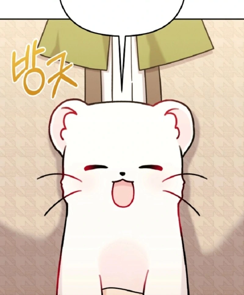 ch 15 111