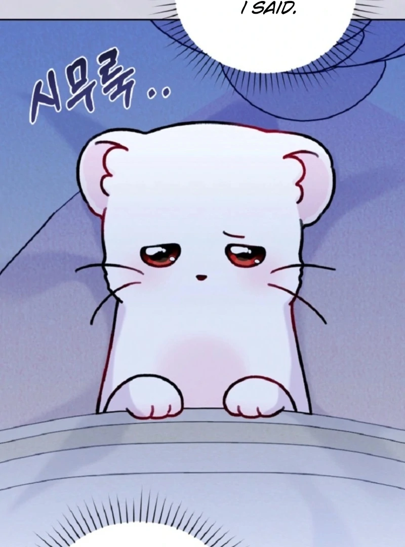 ch 15 113