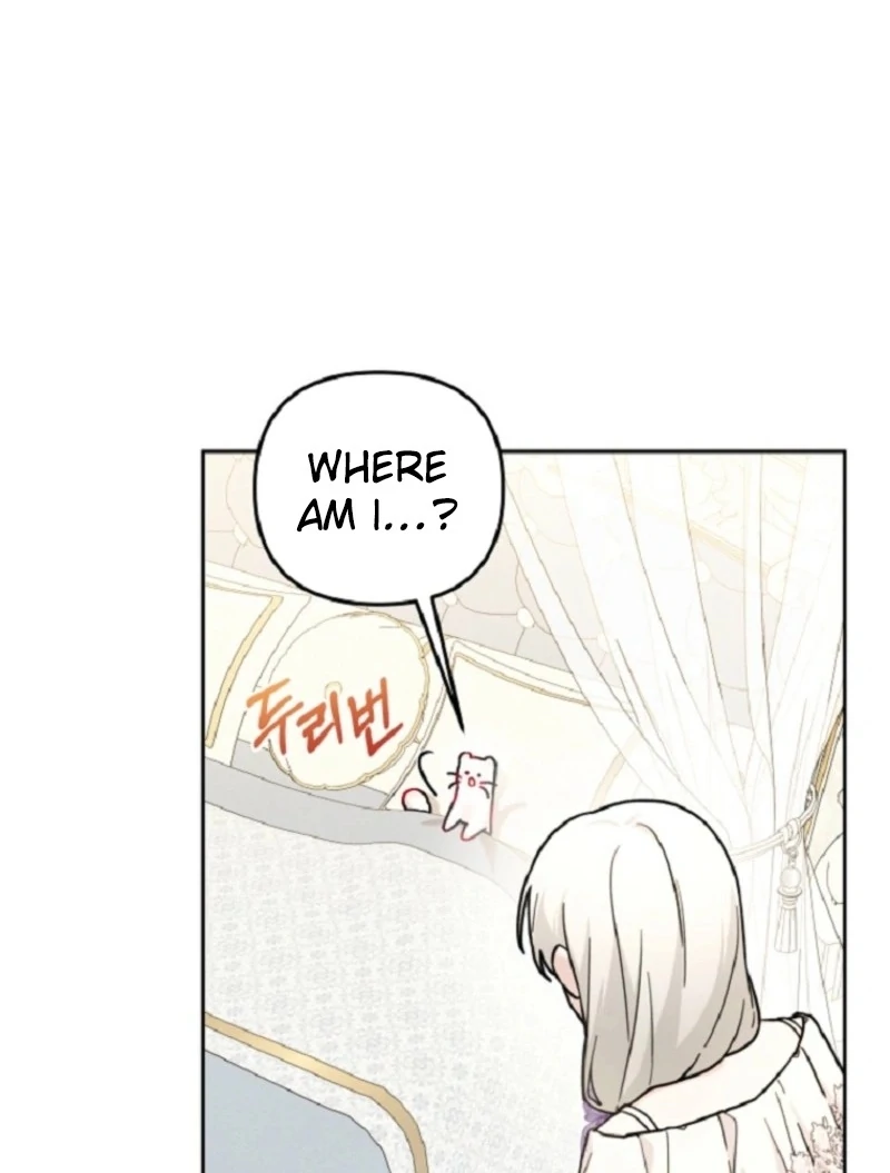 ch 15 33