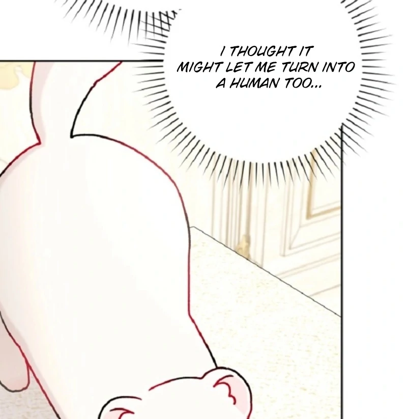 ch 15 49